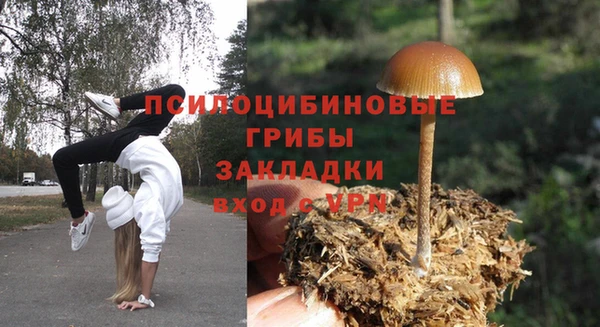 дживик Новозыбков