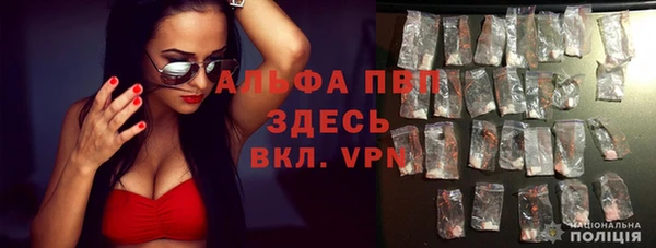 метадон Новодвинск