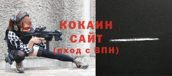дживик Новозыбков