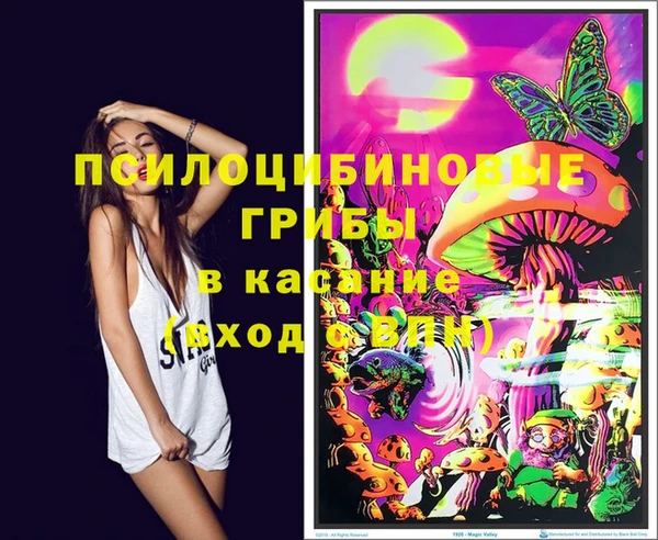 дживик Новозыбков