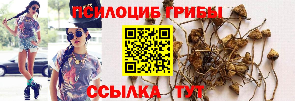 ГЕРОИН  Заинск  МАРИХУАНА  ГАШИШ  Лсд 25  Вход с VPN  Где купить  Мефедрон кристаллы  Меф 