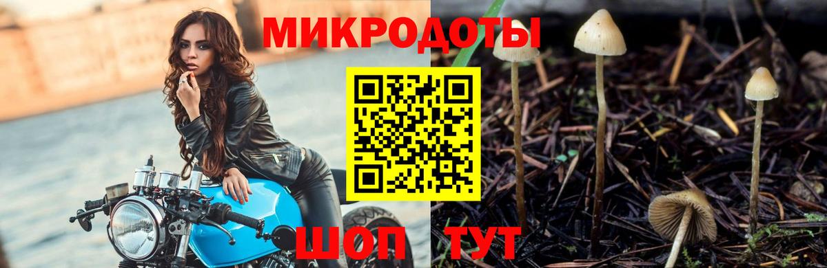 Псилоцибиновые грибы ЛСД Заинск