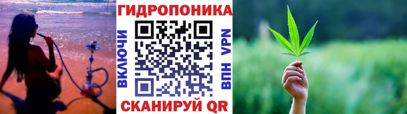 МАРИХУАНА Amnesia  как найти закладки  MEGA как войти  Заинск 